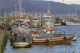 Una veitena de pesqueros taponan la bocana del puerto de Motril