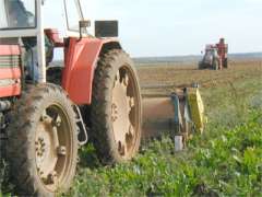 Desde hoy los agricultores pueden solicitar ayudas económicas del Plan Renove destinadas a sustituir los tractores