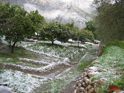 Nieva en la Costa de Granada