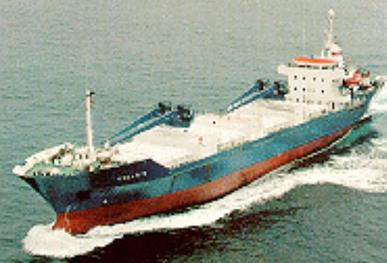 Capitania Marítima expedienta a un barco panameño que vertió en la costa de Granada 21 toneladas de cemento