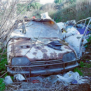 Patrulla Medioambiental expedienta a 90 coches abandonados en Salobreña