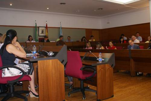 El pleno aprueba solicitar a la Junta de Andalucía la implantación de las enseñanzas artísticas superiores