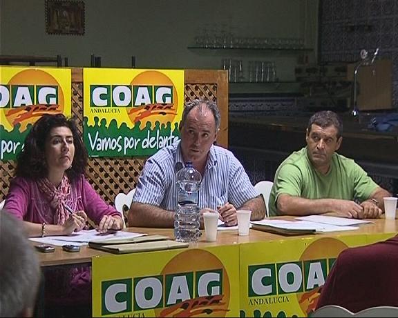 COAG RECUERDA A LA MINISTRA ESPINOSA QUE VOTAR A FAVOR DEL ACUERDO UE-MARRUECOS ES VOTAR EN CONTRA DE LOS AGRICULTORES