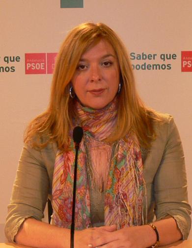 El PSOE critica al equipo de gobierno por la dimisión de Villoslada