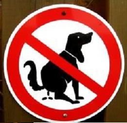 El Ayuntamiento de Almuñécar impone 16 denuncias a ciudadanos que sacan sus perros a la calle y no cumplen la normativa