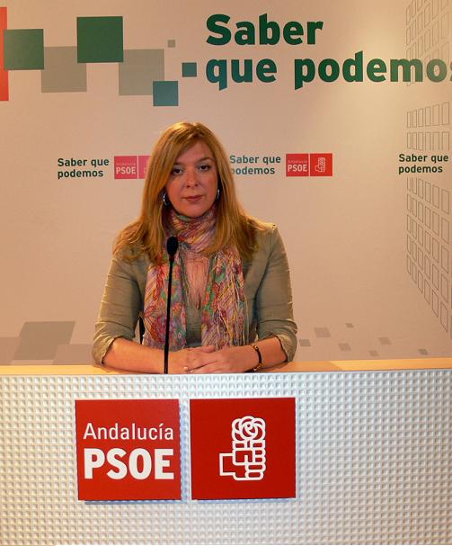 El PSOE valora el compromiso decidido de la Junta con la Costa tras el anuncio del inicio de la licitación del proyecto de las canalizaciones de Rules