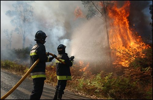 Los Bomberos de Motril sofocan un incendio en un cortijo de Puntalón