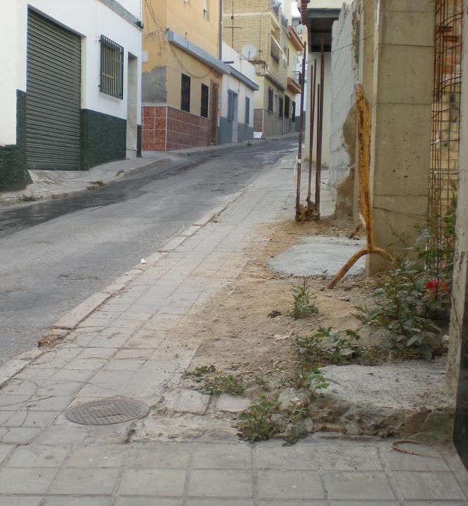 Los vecinos de la calle Cenicero de La Palma denuncian la situación en la que se encuentra la zona