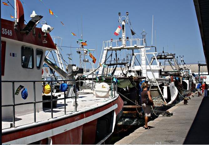 Pescadores reclaman recuperar la búsqueda de gamba roja en la costa granadina