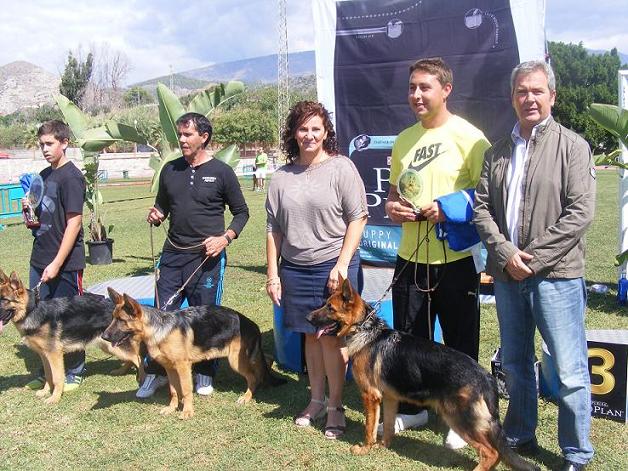 La exposición monográfica de perro pastor alemán en Motril se convierte en la más participativa de toda España