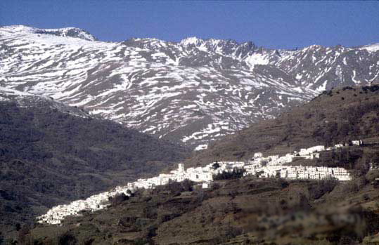 Montañero rescatado en Capileira