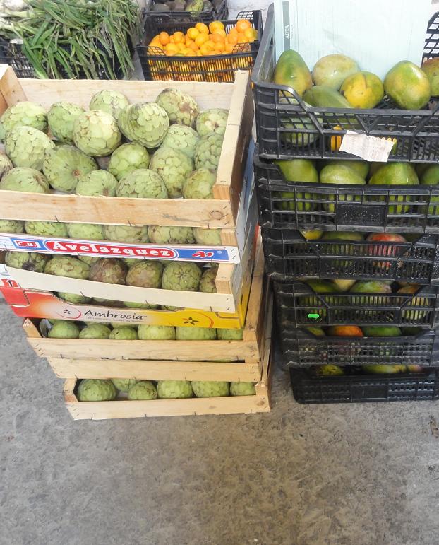La Policía Local de Motril decomisa 330 kilos de fruta robada