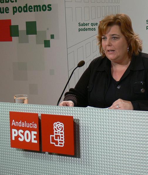 El PSOE alerta de que el despido de 79 trabajadores de los servicios sociales comunitarios supondrá un drama para miles de familias