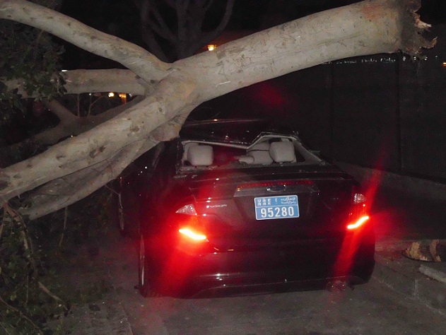 La caída de un árbol provoca  importantes daños materiales sobre un vehículo en la calle almuñequera, Hurtado de Mendoza