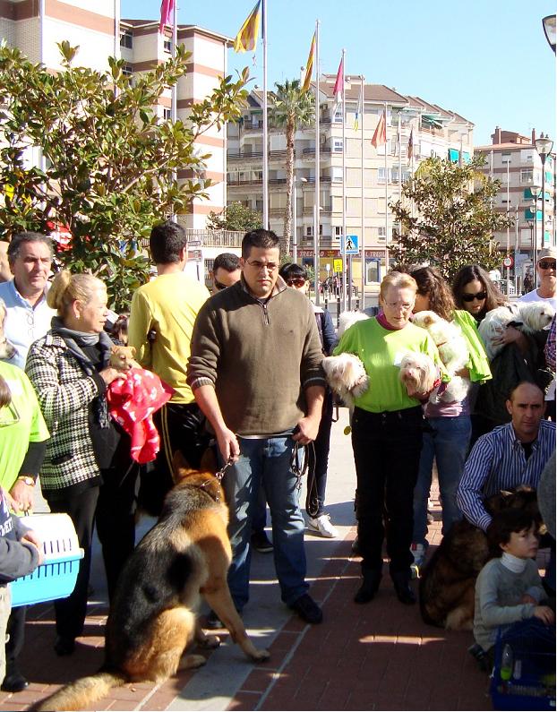 APAF anima a todos los motrileños a bendecir a sus mascotas con motivo del Día de San Antón