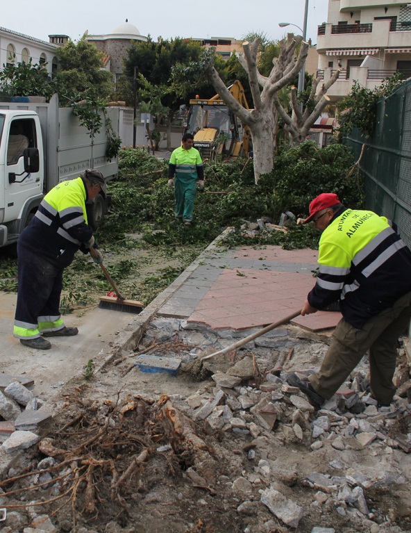El Ayuntamiento sexitano opta por la retirada de  los ficus de la calle Hurtado de Mendoza ante los daños que está provocando