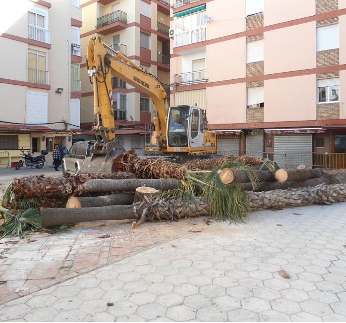 "Eliminan las palmeras de la Plaza Kelibia" por Convergencia Andaluza