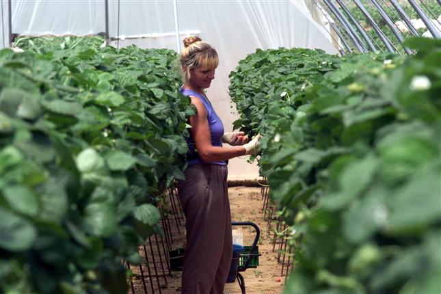 El Área de la Mujer de COAG subraya la capacidad del sector agrario para generar empleo femenino en el medio rural