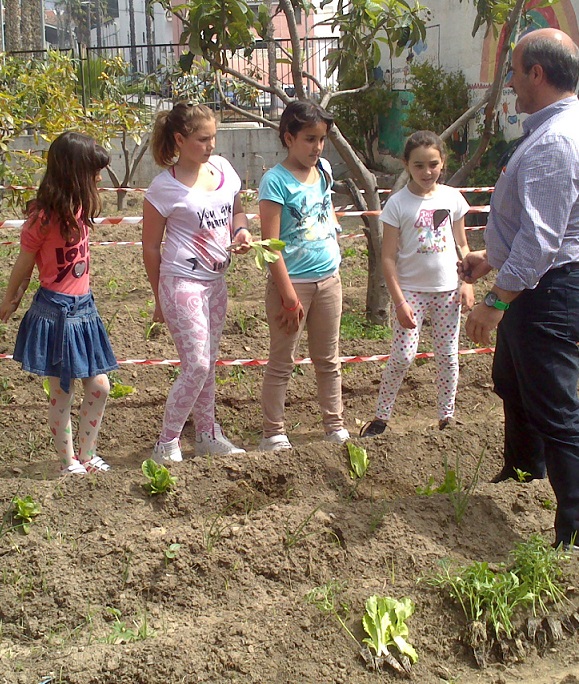 El Colegio Público San Miguel y la Concejalía de Medio Ambiente de Almuñécar  ponen en marcha un huerto ecológico