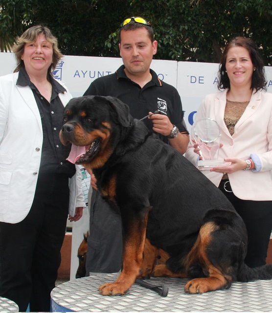 Un Rottweiler fue el perro más valorado en el II Concurso Canino Ciudad de Almuñécar