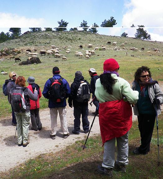 Los senderistas del PMD Almuñécar recorrieron la Sierra de Baza durante dos días