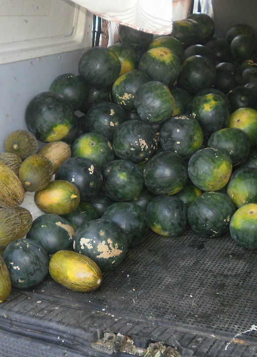 La Policía Local de Almuñécar decomisa más de 1300 kilos de frutas y verduras que se vendía junto mercadillo semanal