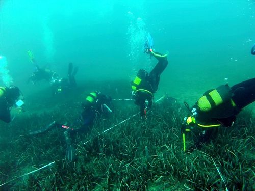 La Junta inicia una nueva campaña con buceadores voluntarios para la conservación de las praderas de Posidonia oceanica