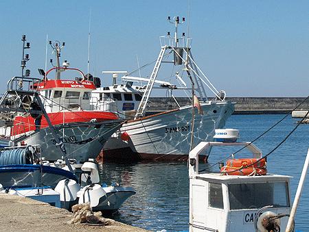 Medio centenar de pescadores polacos visitarán Motril para conocer las artes marineras locales