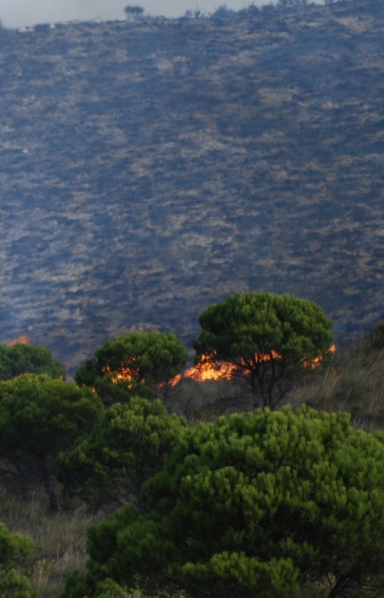 Un agricultor, presunto autor del incendio en la Sierra de Jete que arrasó 40 hectáreas