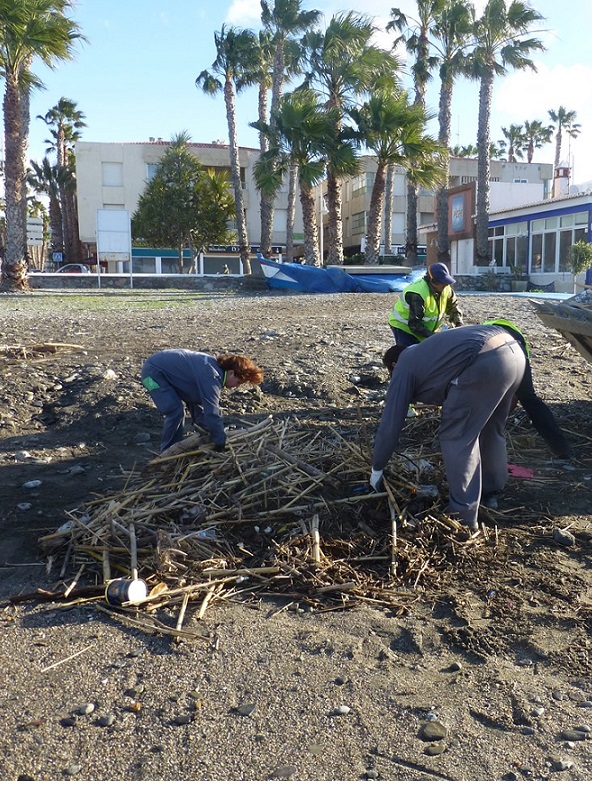 El Ayuntamiento de Almuñécar trabaja en la limpieza y normalización de las playas tras temporal de lluvia, viento y oleaje