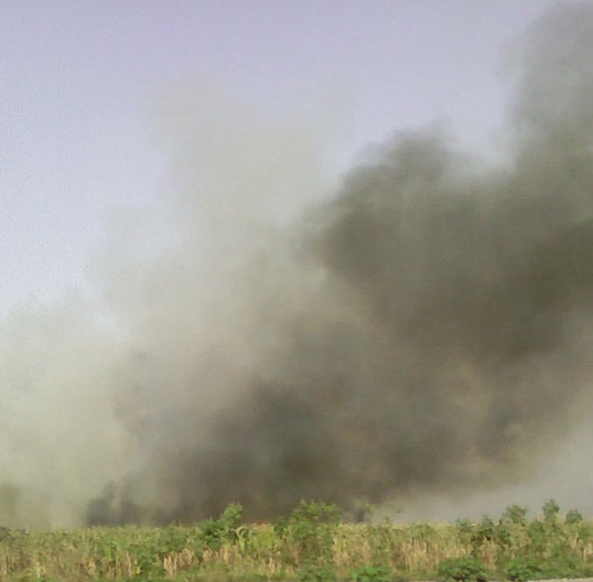 Pequeño incendio en una zona de cañaverales cercano a la playa en Salobreña