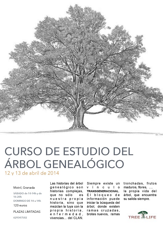 Curso de estudio del árbol genealógico en Motril