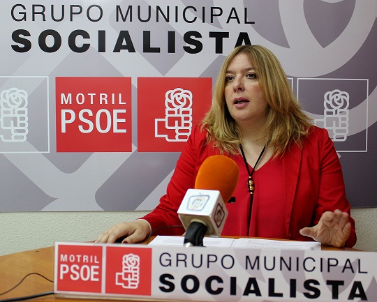 El PSOE cuestiona la legalidad de las vallas contra la Junta y su financiación con dinero del Ayuntamiento