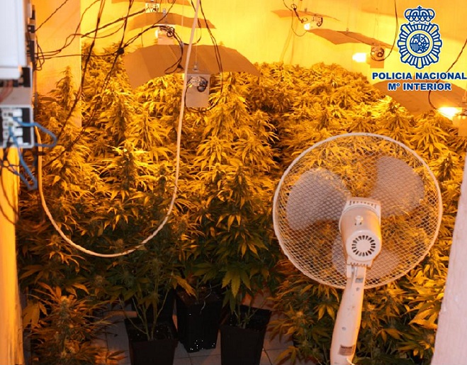 La policía desmantela un invernadero de marihuana que estaba instalado en la habitación de una vivienda