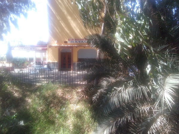 El PA Motril demanda la limpieza de maleza y poda de árboles en el Balate de la Culebra