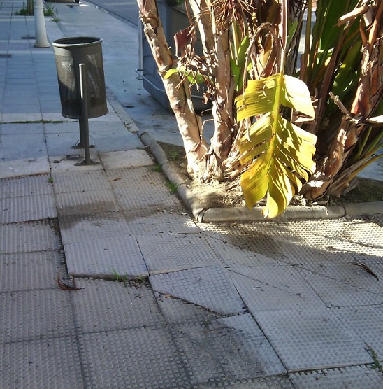 El Partido Andalucista de Motril denuncia la falta de mantenimiento en Playa Granada