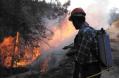 La Junta anima a los agricultores a contratar el seguro agrario de incendio forestal