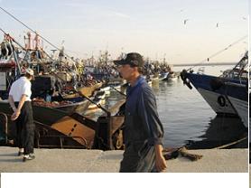 Los 68 barcos de la flota pesquera de la costa de Granada irá a la huelga el 20 de septiembre por la subida &quot;tan desproporcionada del gasoil&quot;