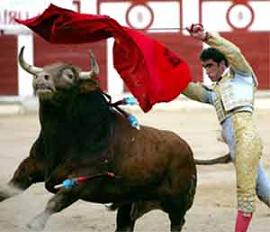 La plaza de toros de Motril se inaugurará el 12 de octubre con una corrida de 'El Fandi'